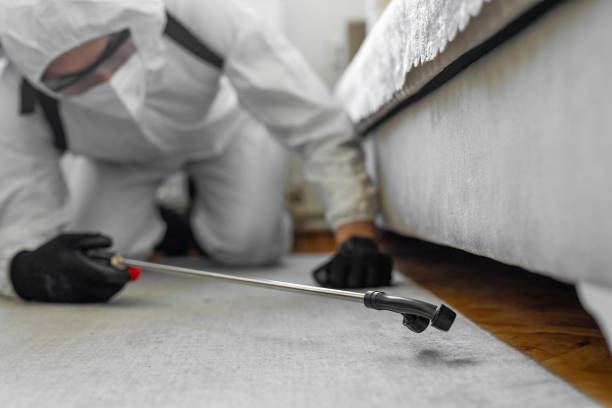 Professional Cockroach Control technician working in Leonard, TX