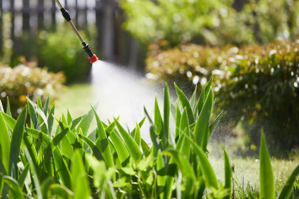 24/7 Emergency Cockroach Control experts in Leonard, TX