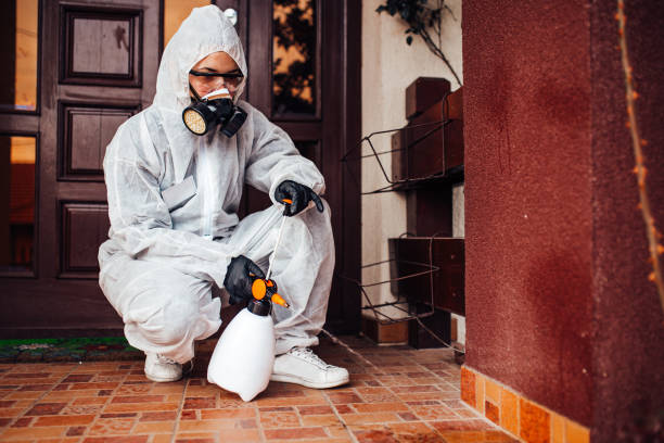 Reliable Cockroach Control contractor in Leonard, TX by Nex Pest Control